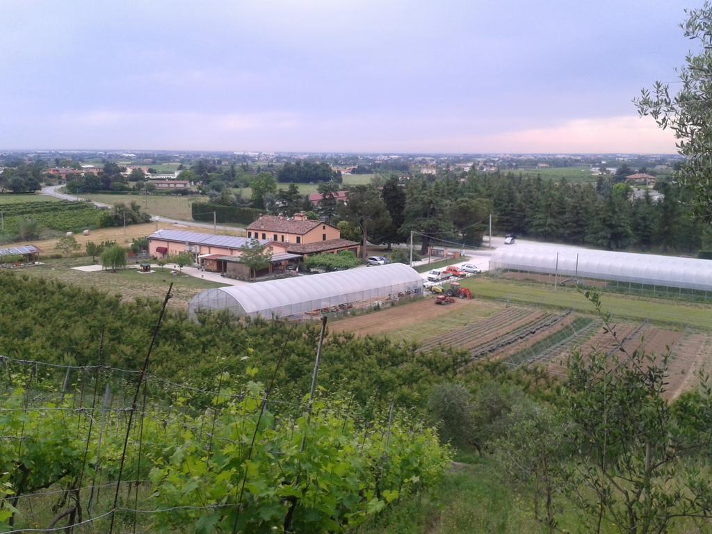 Bed and Breakfast Agriturismo Perugini Чезена Екстер'єр фото