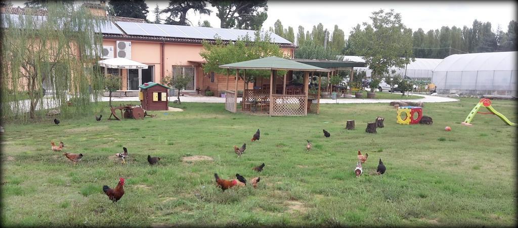 Bed and Breakfast Agriturismo Perugini Чезена Екстер'єр фото